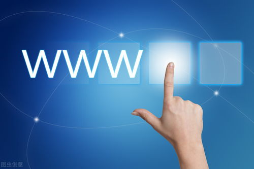 高端品牌美縫在電子商務(wù)領(lǐng)域的表現(xiàn)與經(jīng)營策略